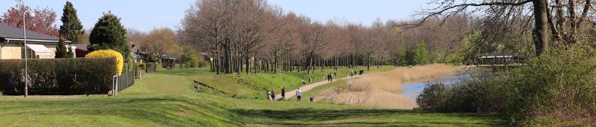 Ejerlauget Rendsagerparken