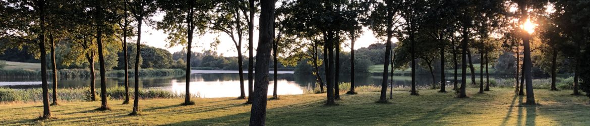 Ejerlauget Rendsagerparken